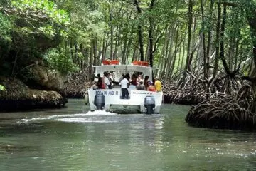 Haitises Park From Punta Cana Come Trip 1