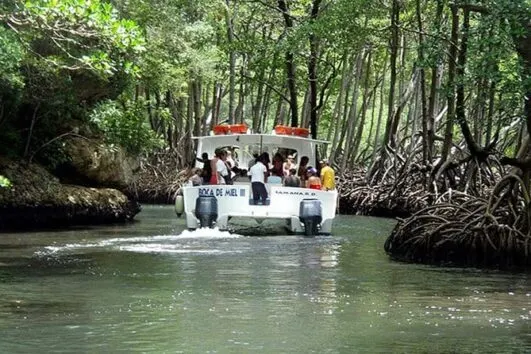 Haitises Park From Punta Cana Come Trip 1