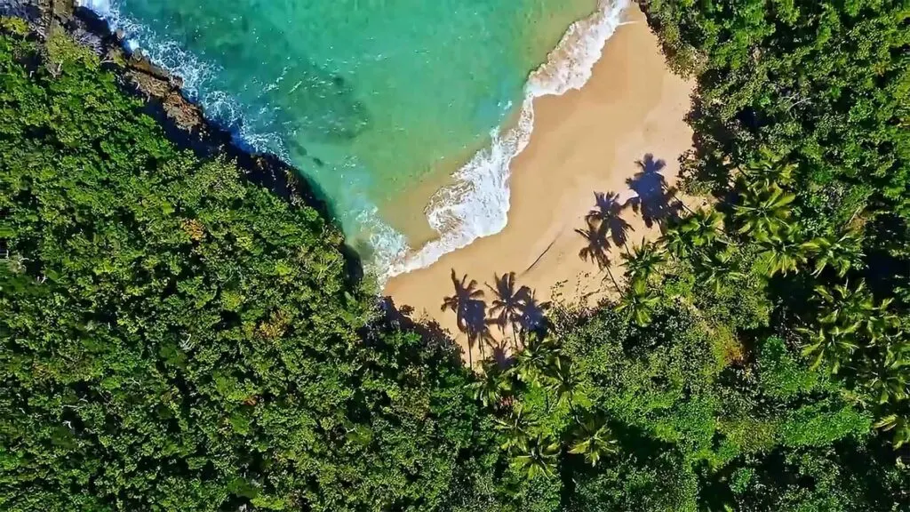 Punta Cana Day Trip to Los Haitises National Park