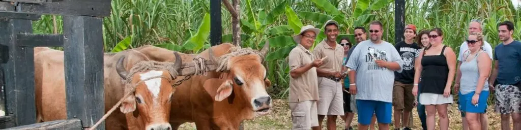 Safari Tour Medio Día desde Punta Cana