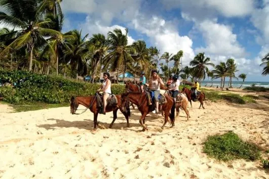 Horseback Riding From Punta Cana Come Trip 2