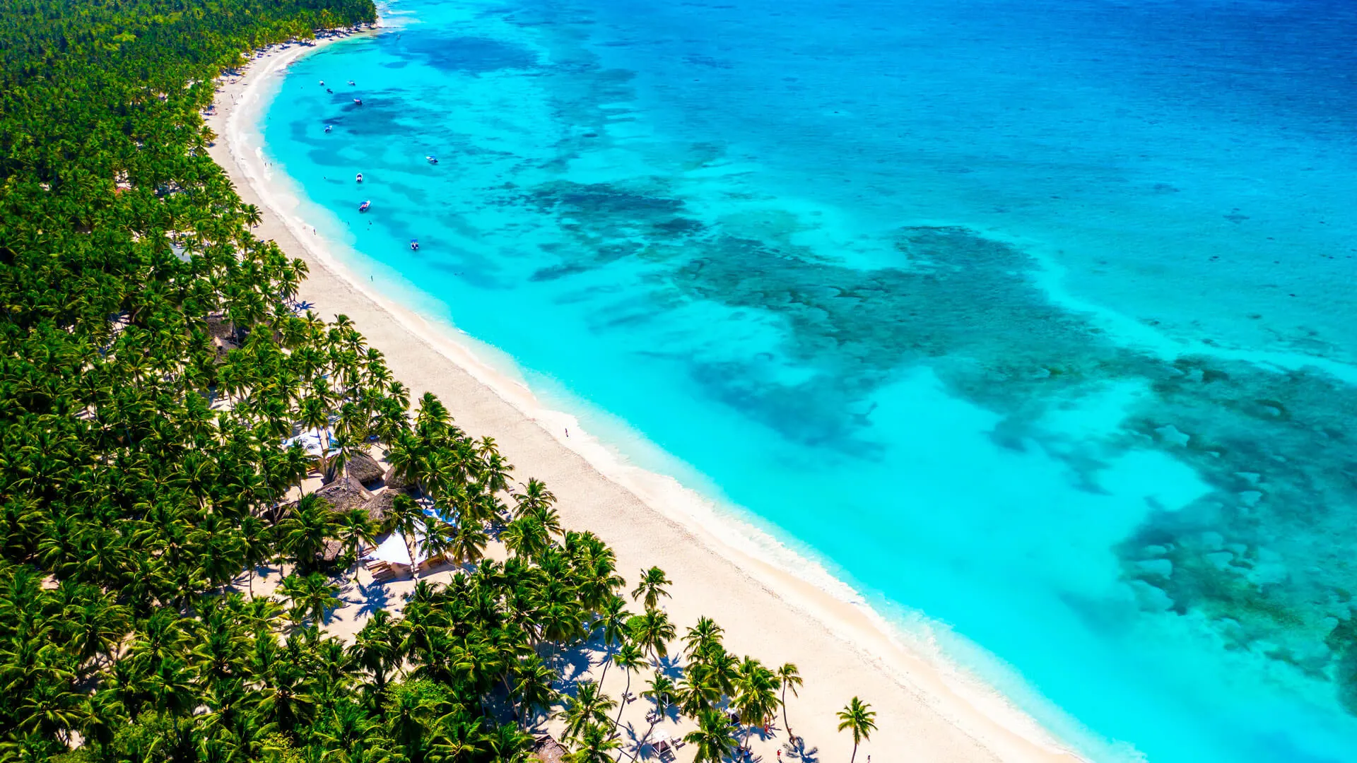 Punta Cana: Saona Island a different exclusive Day Trip with Open Bar