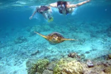 Come Trip Punta Cana Catalina Island Snorkeling Tour With Lunch 4