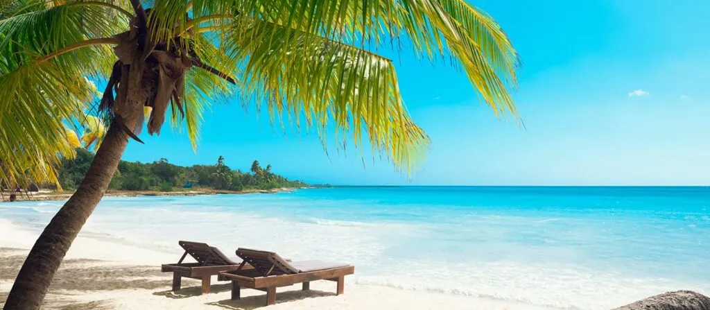 Punta Cana: Saona Island a different exclusive Day Trip with Open Bar
